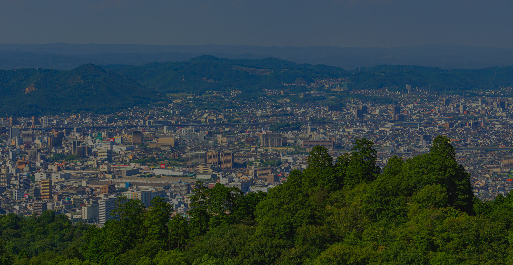 確かな技術と丁寧な作業で、未来の景色を築く